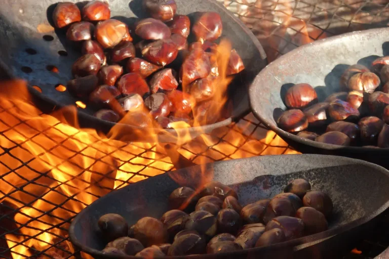 San Martino: castagne e vino - Casa Alfonsino